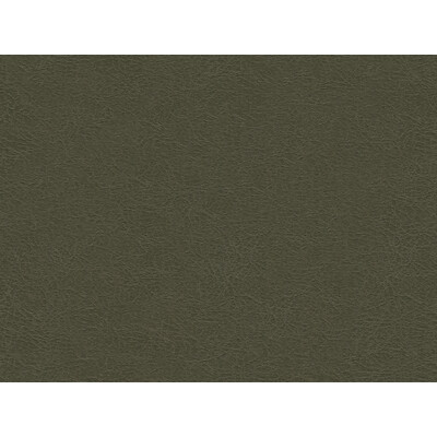 Kravet Design GAROUA.21.0 Kravet Design Upholstery Fabric in Grey , Grey , Garoua-21