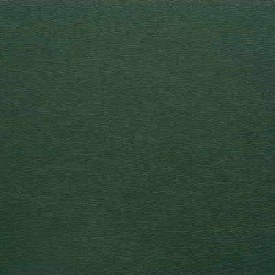 Kravet Design GATO.303.0 Kravet Design Upholstery Fabric in Green , Green , Gato-303