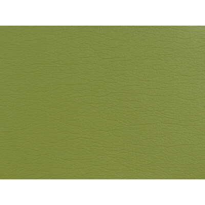 Kravet Design GATO.5353.0 Kravet Design Upholstery Fabric in Green , Green , Gato-5353