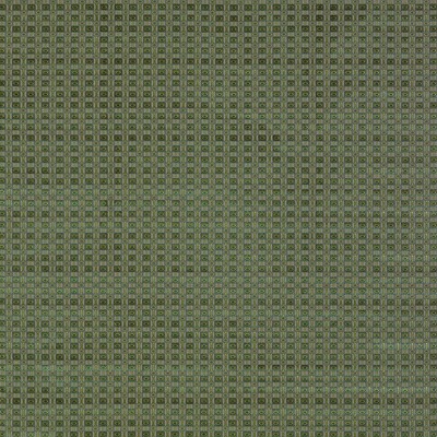 Gaston Y Daniela GDT5177.004.0 Ines Upholstery Fabric in Verde/Grey/Green/Yellow