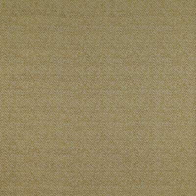 Gaston Y Daniela GDT5206.001.0 Santa Ana Upholstery Fabric in Lima/Chartreuse/Olive Green