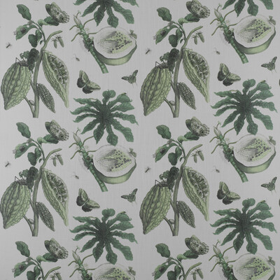 Gaston Y Daniela GDT5212.003.0 Retiro Multipurpose Fabric in Verde/Green/White