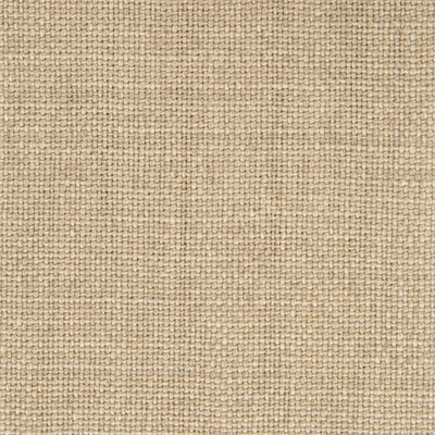 Gaston Y Daniela GDT5239.002.0 Nicaragua Upholstery Fabric in Vison/Taupe