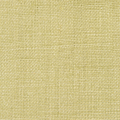 Gaston Y Daniela GDT5239.011.0 Nicaragua Upholstery Fabric in Verde Claro/Celery/Sage