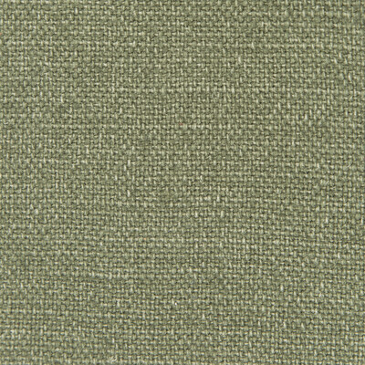 Gaston Y Daniela GDT5239.012.0 Nicaragua Upholstery Fabric in Verde Oscuro/Green