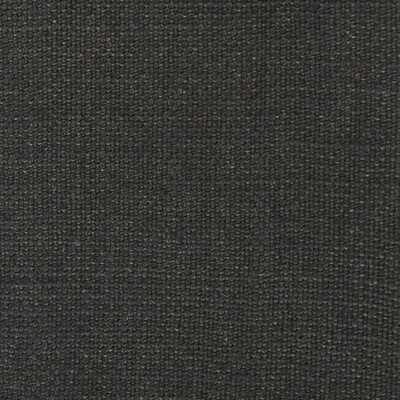 Gaston Y Daniela GDT5239.018.0 Nicaragua Upholstery Fabric in Onyx/Black