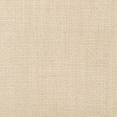 Gaston Y Daniela GDT5239.023.0 Nicaragua Upholstery Fabric in Lino/Neutral/Light Grey