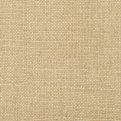 Gaston Y Daniela GDT5239.024.0 Nicaragua Upholstery Fabric in Kaki/Khaki