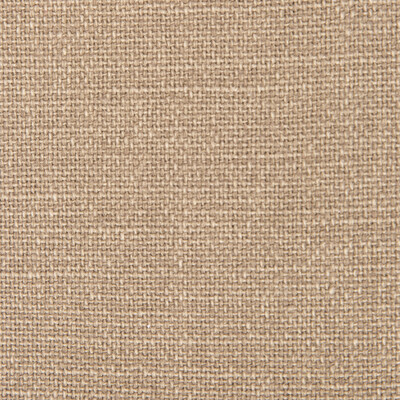 Gaston Y Daniela GDT5239.026.0 Nicaragua Upholstery Fabric in Tostado/Wheat/Beige