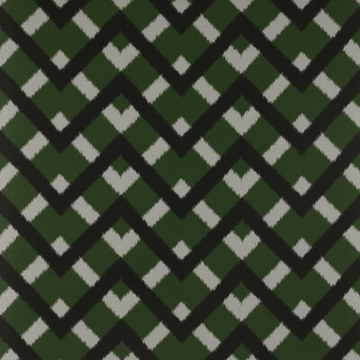 Gaston Y Daniela GDT5338.001.0 Monti Multipurpose Fabric in Verde/Multi/Green/Black
