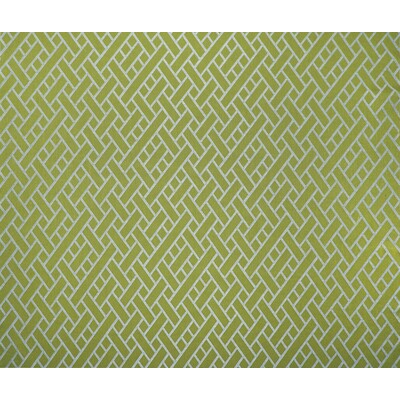 Gaston Y Daniela GDT5374.4.0 Nairobi Upholstery Fabric in Verde/Green/Mint/White