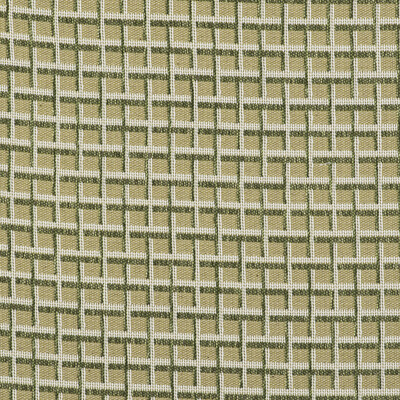 Gaston Y Daniela GDT5513.003.0 Rejas Upholstery Fabric in Verde/Light Green/White/Green