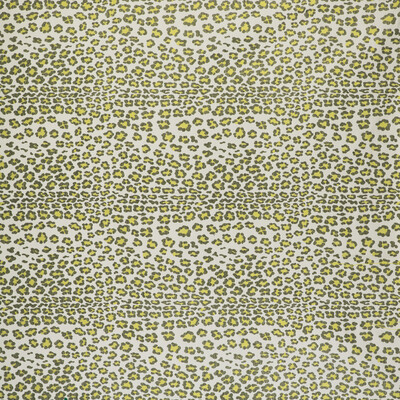 Gaston Y Daniela GDT5515.003.0 Leopardo Upholstery Fabric in Verde/Ivory/Green/Chartreuse