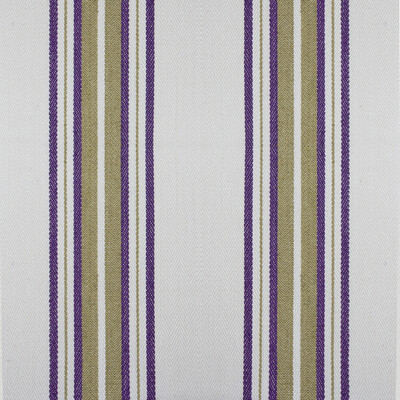 Gaston Y Daniela GDT5573.004.0 Nueva York Multipurpose Fabric in Purple/verde/White/Olive Green/Purple