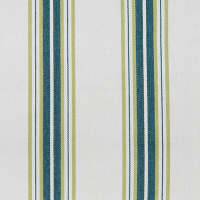Gaston Y Daniela GDT5573.006.0 Nueva York Multipurpose Fabric in Verde/White/Chartreuse/Emerald