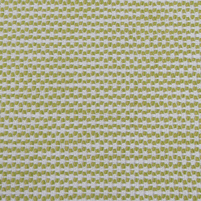 Gaston Y Daniela GDT5595.003.0 Palenque Upholstery Fabric in Lima/Chartreuse/Celery/White