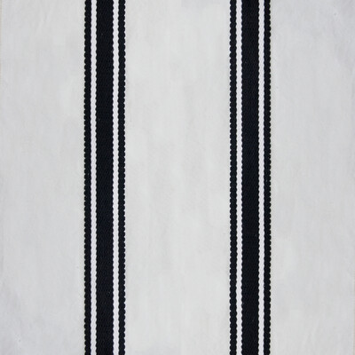 Gaston Y Daniela GDT5599.001.0 Caracas Multipurpose Fabric in Negra/White/Black