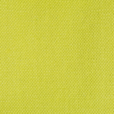 Gaston Y Daniela GDT5616.009.0 Lima Upholstery Fabric in Apple Green/Green