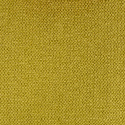 Gaston Y Daniela GDT5616.012.0 Lima Upholstery Fabric in Aceite/Chartreuse