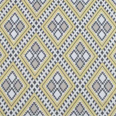 Gaston Y Daniela GDT5656.001.0 Chihuahua Upholstery Fabric in Amarillo/Yellow