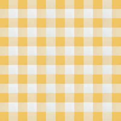 Gaston Y Daniela GDT5685.008.0 Deia Drapery Fabric in Amarillo/Yellow