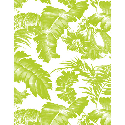 Gaston Y Daniela GDW5449.002.0 Plantation Wallcovering Fabric in Verde/White/Celery
