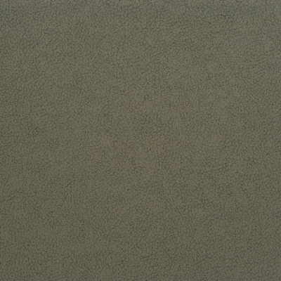 Kravet Design GENSLAR.21.0 Kravet Design Upholstery Fabric in Grey , Grey , Genslar-21