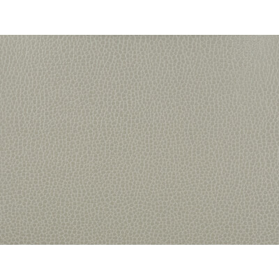 Kravet Design GILLIAN.11.0 Kravet Design Upholstery Fabric in Grey , Grey , Gillian-11