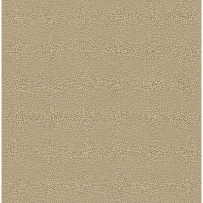 Kravet Design GILLIAN.116.0 Kravet Design Upholstery Fabric in Beige , Beige , Gillian-116
