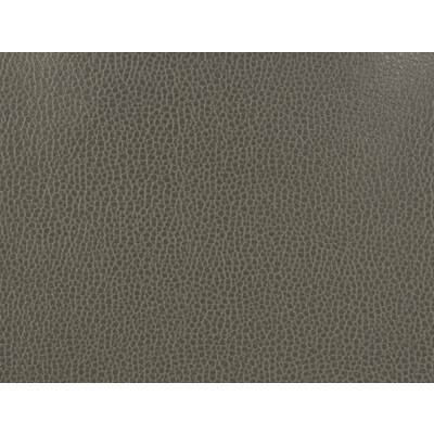 Kravet Design GILLIAN.21.0 Kravet Design Upholstery Fabric in Grey , Grey , Gillian-21