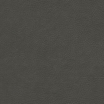 Kravet Design GLENDALE.11.0 Kravet Design Upholstery Fabric in Grey , Grey , Glendale-11