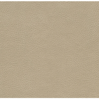 Kravet Design GLENDALE.1116.0 Kravet Design Upholstery Fabric in Beige , Beige , Glendale-1116