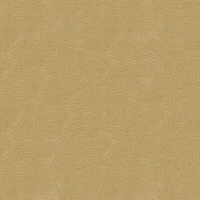 Kravet Design GRANA.16.0 Kravet Design Upholstery Fabric in Beige , Beige , Grana-16