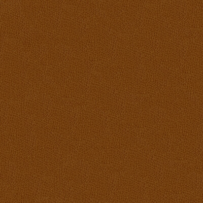 Kravet Design GRANA.616.0 Kravet Design Upholstery Fabric in Camel , Brown , Grana-616