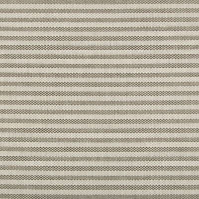 Lee Jofa Modern GWF-3745.111.0 Rayas Stripe Upholstery Fabric in Fossil/Charcoal/Grey