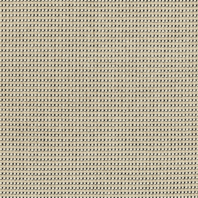 Groundworks GWF-3763.168.0 Risus Upholstery Fabric in Doe/Beige/Black