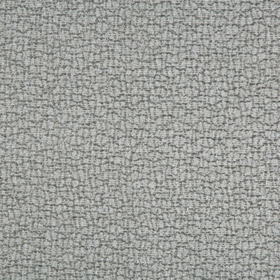 Lee Jofa Modern GWF-3782.11.0 Rios Upholstery Fabric in Cinder/White/Silver/Grey