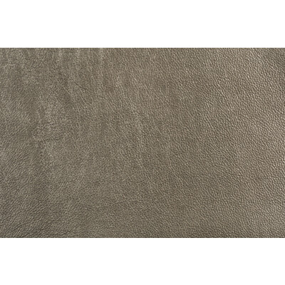 Groundworks GWL-3406.11.0 Trophy Upholstery Fabric in Silver