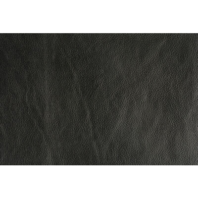 Groundworks GWL-3406.8.0 Trophy Upholstery Fabric in Graphite/Charcoal/Grey/Grey