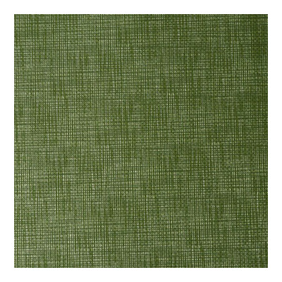 Kravet Design JAMBI.23.0 Jambi Upholstery Fabric in Green , Celery , Herbal