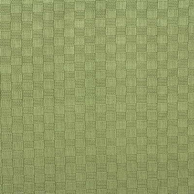 G P & J Baker K0532.780.0 Orkney Multipurpose Fabric in Birch