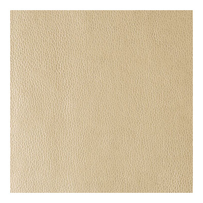 Kravet Design KERINCI.116.0 Kerinci Upholstery Fabric in Beige , Metallic , Gold Dust