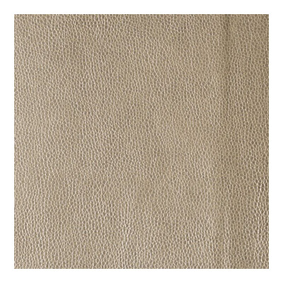 Kravet Design KERINCI.16.0 Kerinci Upholstery Fabric in Beige , Metallic , Mica