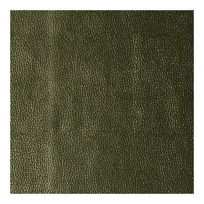 Kravet Design KERINCI.23.0 Kerinci Upholstery Fabric in Green , Metallic , Limelight