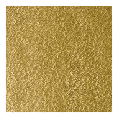 Kravet Design KERINCI.4.0 Kerinci Upholstery Fabric in Gold , Gold , Rising Sun