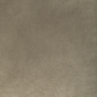 Kravet Contract Kw-10065.3685mg20.0 Rocco Velvet Upholstery Fabric in Mink/Taupe/Brown/Grey