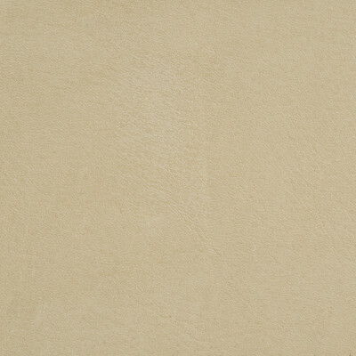 Kravet Design L-ARIZONA.PUTTY.0 L-arizona Upholstery Fabric in White , Grey , Putty