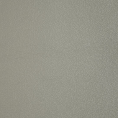 Kravet Design L-badger.ice.0 Kravet Design Upholstery Fabric in L-badger-ice/Light Grey/White
