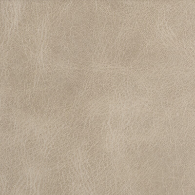 Kravet Couture L-BERN.FLAX.0 Bern Upholstery Fabric in Light Grey , Light Grey , Flax