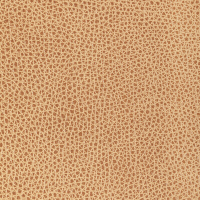 Kravet Design L-bison.biscotti.0 Kravet Design Upholstery Fabric in L-bison-biscotti/Beige/Brown